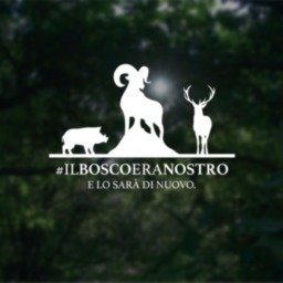 #ilboscoeranostro